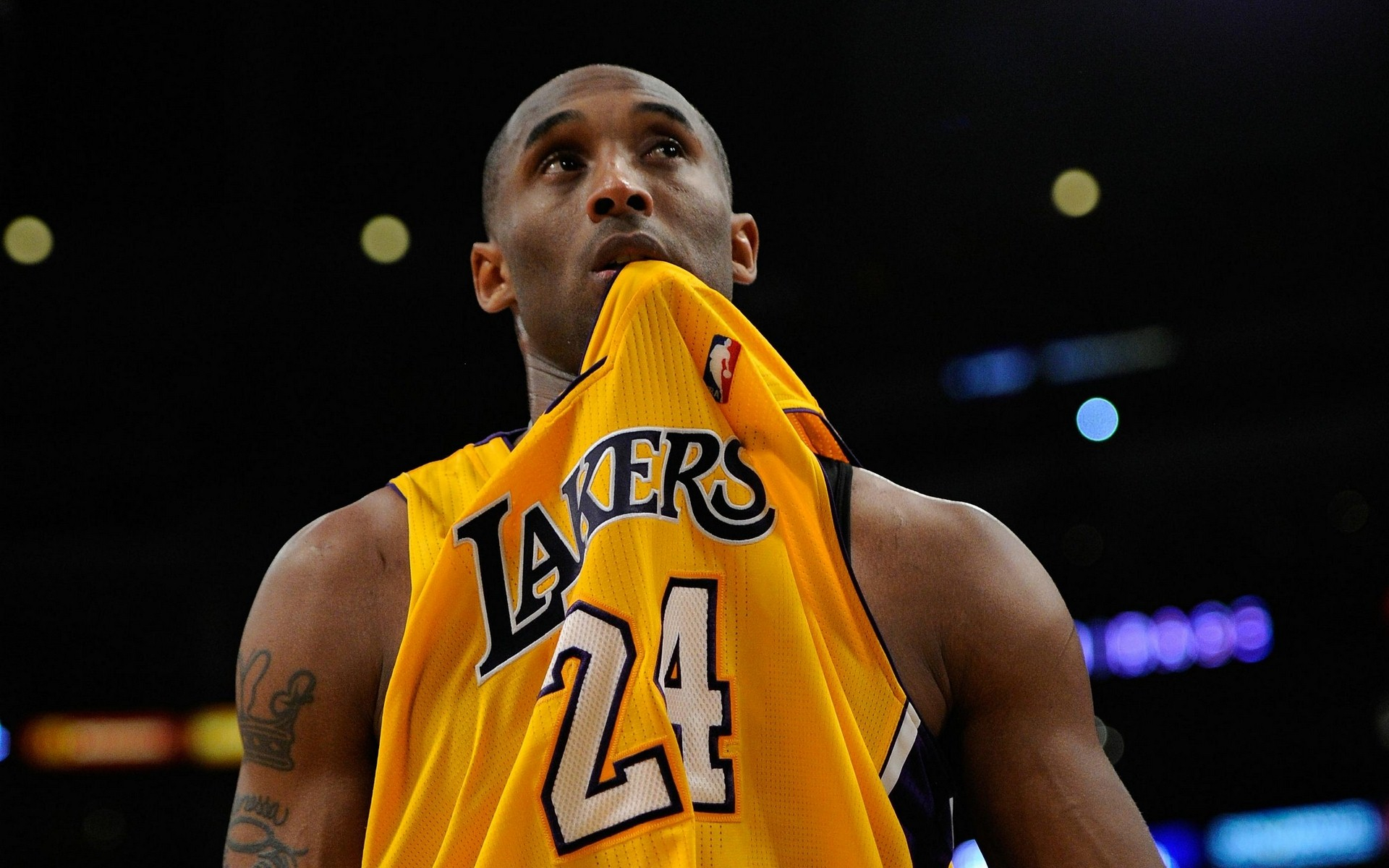 去年在足总 去年在足总