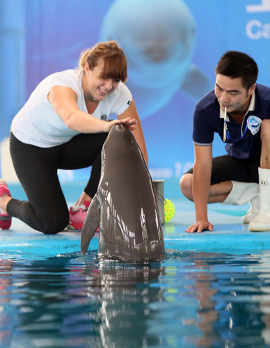 最后一刻 最后一刻